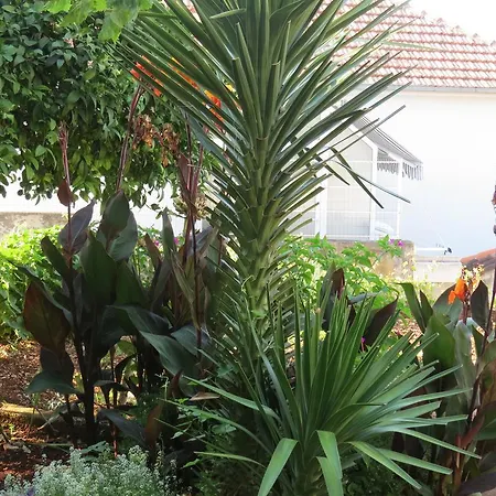 Apartamento Ljube Trogir