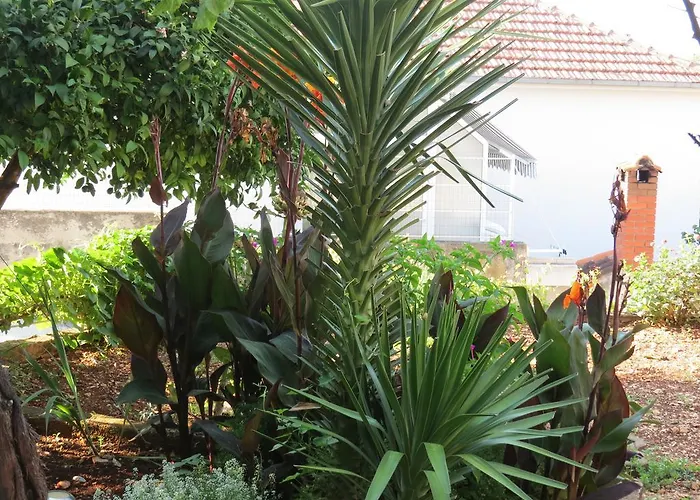 Apartman Ljube Trogir